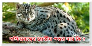 পশ্চিমবঙ্গের জাতীয় পশুর নাম কি