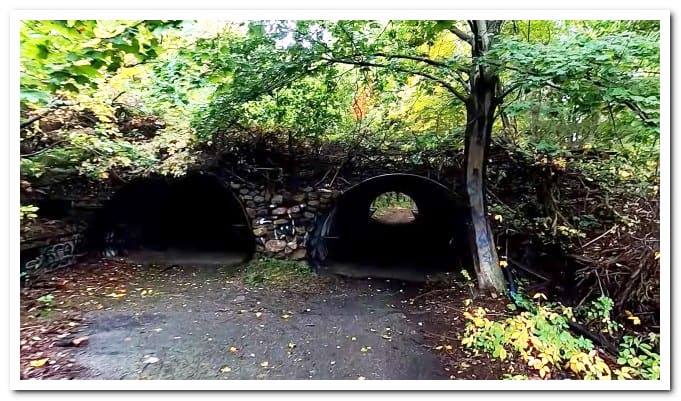 Jungle Habitat West Milford