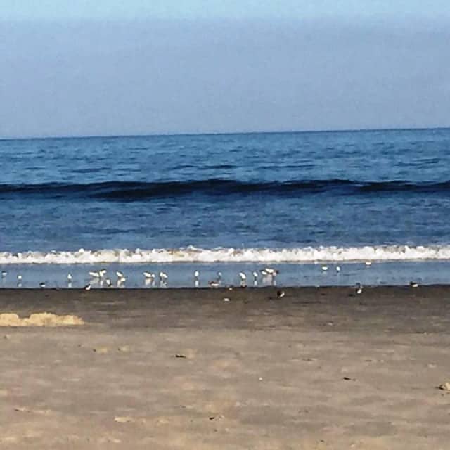 Avalon beach in New Jersey United States