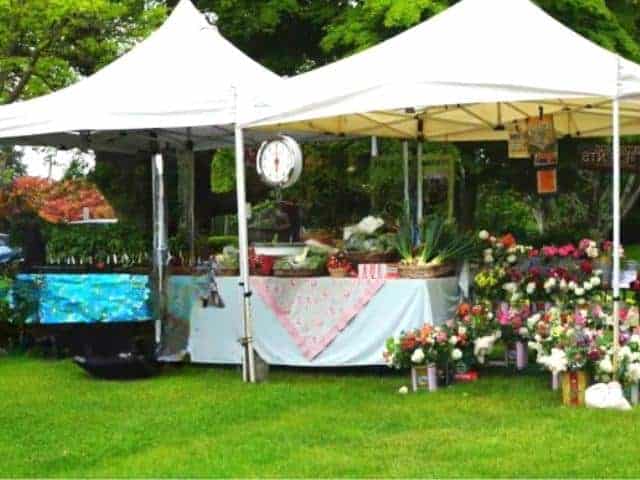 Bainbridge Island Farmers Market