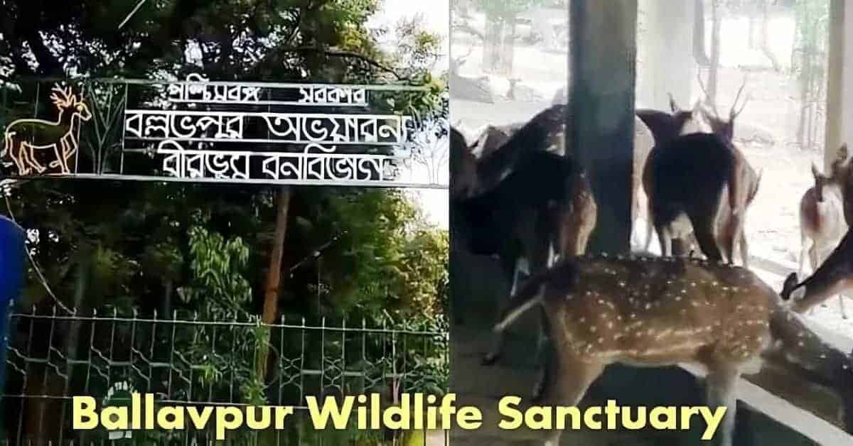 Ballavpur Wildlife Sanctuary