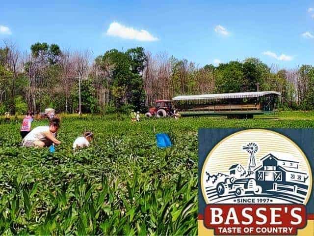 Basses Taste of Country