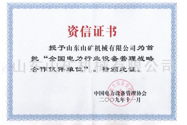 电力设备战略合作伙伴