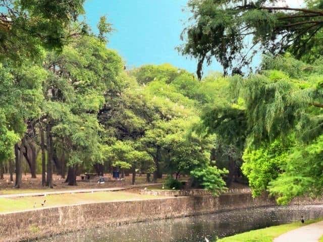 Brackenridge Park