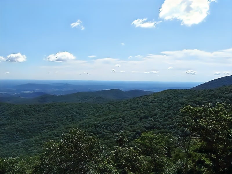 Buck Hollow Overlook