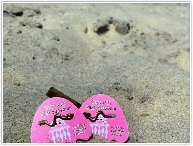 Cape May beach tag