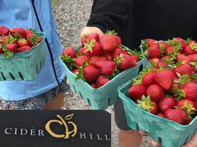 Cider Hill Farm Amesbury