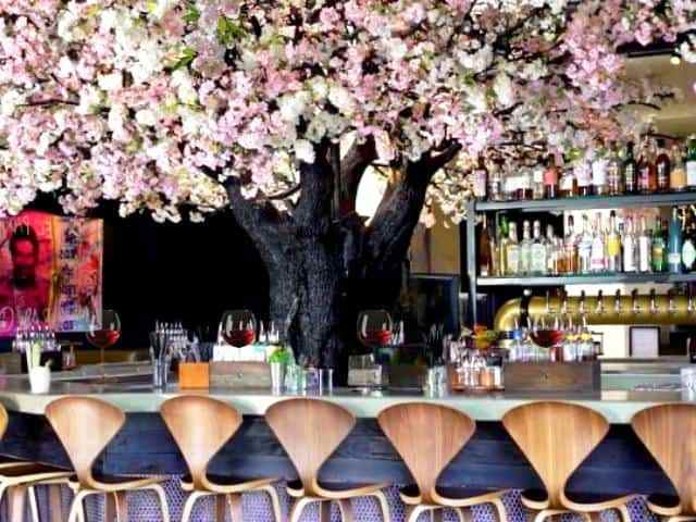 Cloak & Petal Restaurant