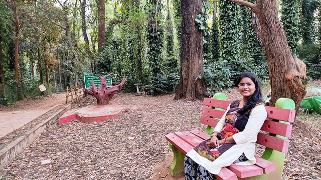 Coffee Plantation Garden Daringbadi 