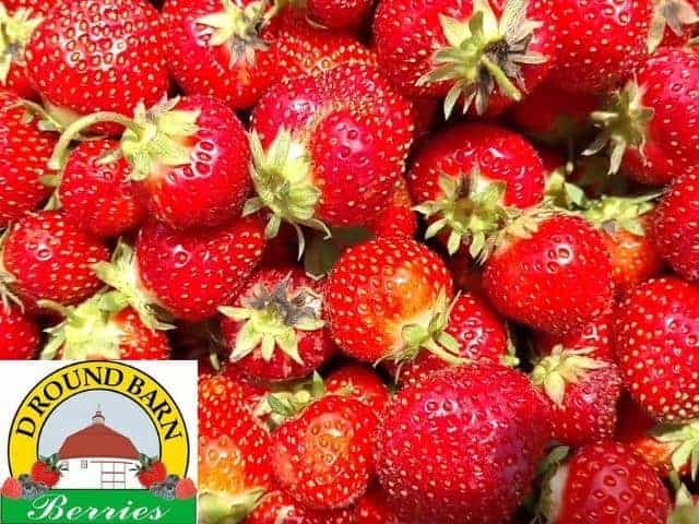 D Round Barn Berries St Michael