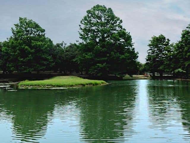 Denman Estate Park