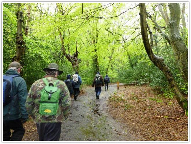 Epping forest London walking trails