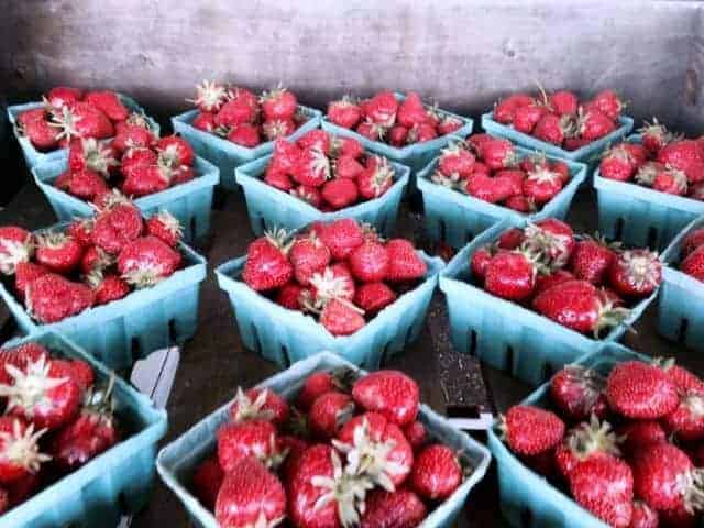Strawberries from Wickham's Fruit Farm
