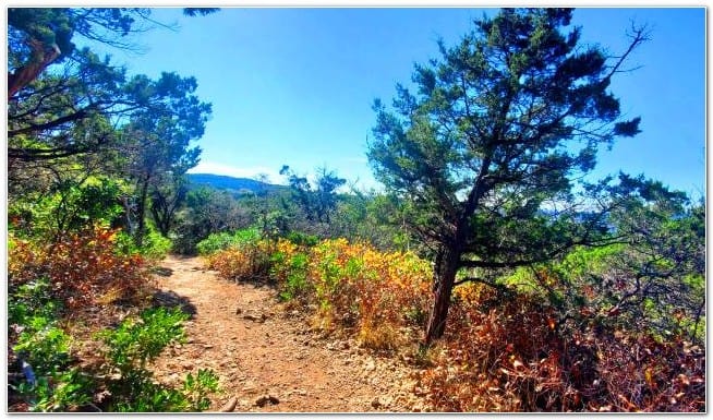 Friedrich Wilderness Park trail