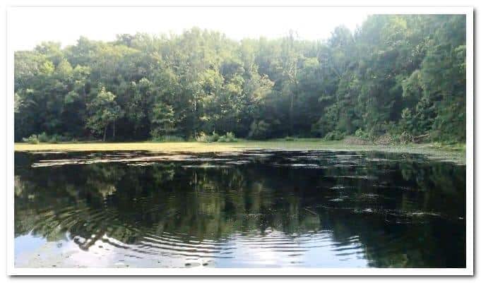 25 Abandoned Haunted Places in New Jersey | Guide 2026