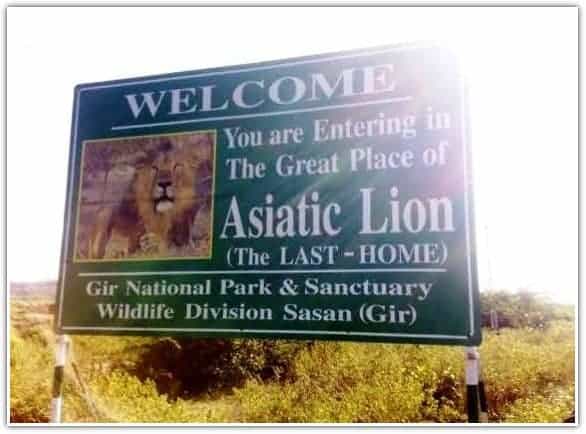 Gir National Park