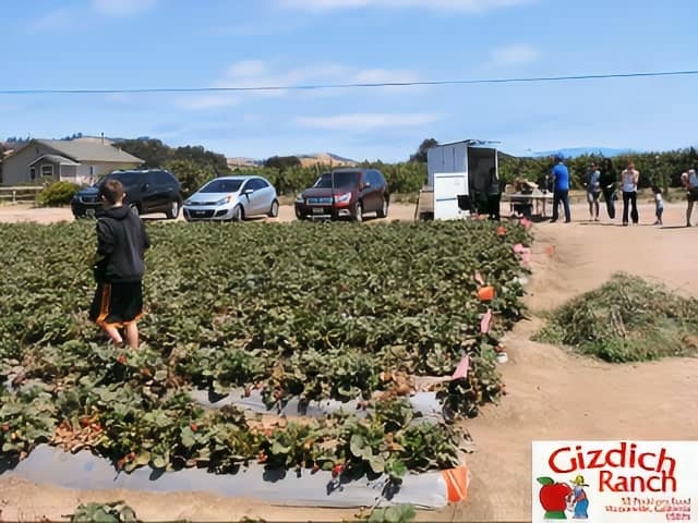 Gizdich Ranch Farm