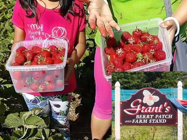 Grants Berry Patch