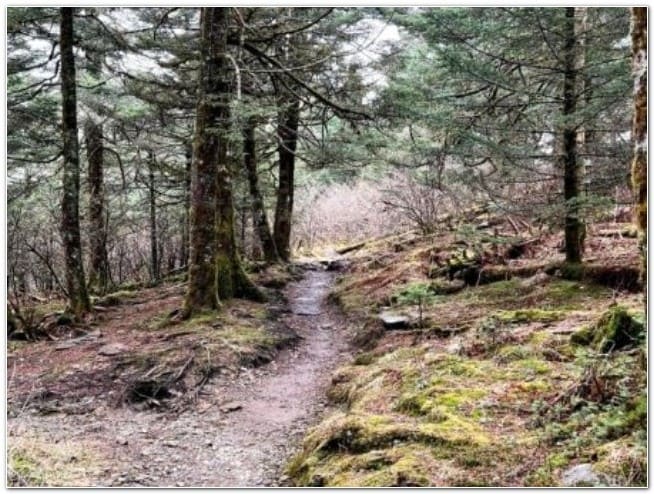 Great Smoky Mountains Tennessee USA