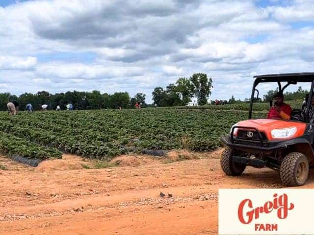 Greig Farm Red Hook