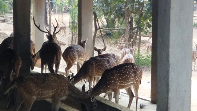 Ballavpur wildlife sanctuary