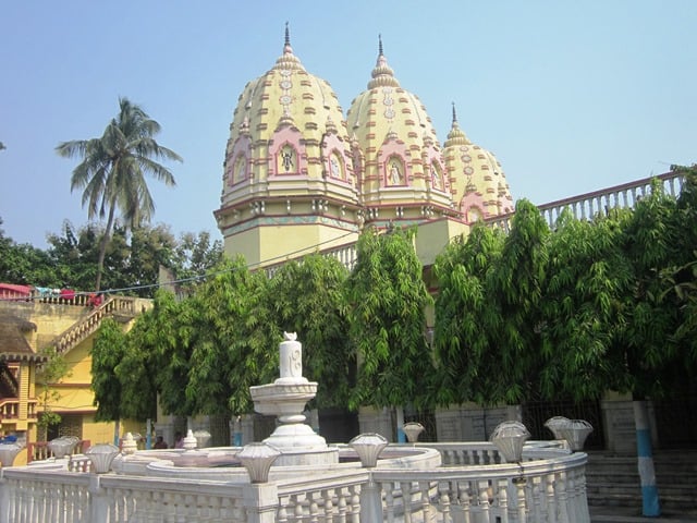 Adyapith Insight