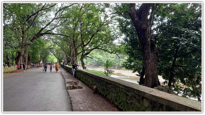 in Sanjay Gandhi National Park