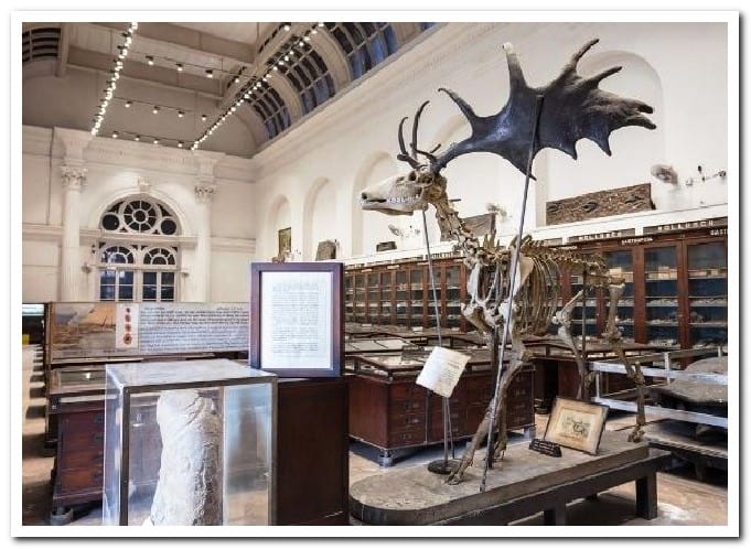 Indian Museum Kolkata