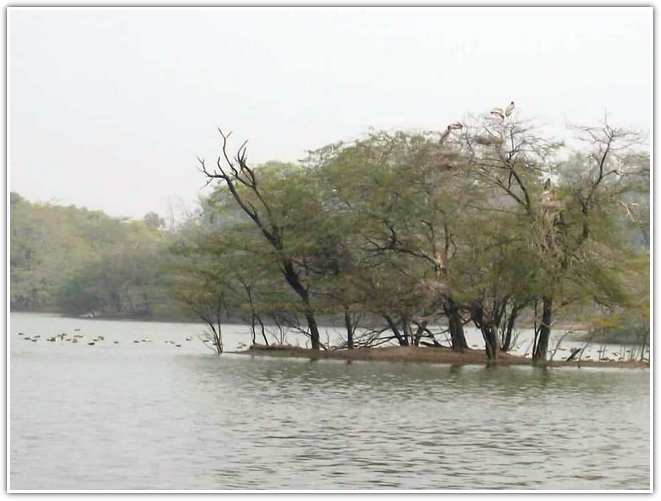 Sultanpur National Park inside