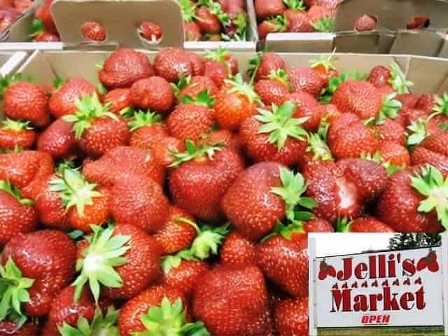 Jellis Market