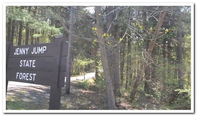 Jenny Jump State Forest