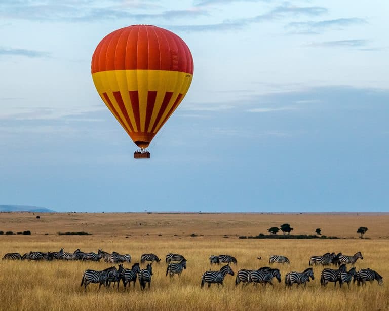 Kenya Maasai Mara National Reserve Narok County