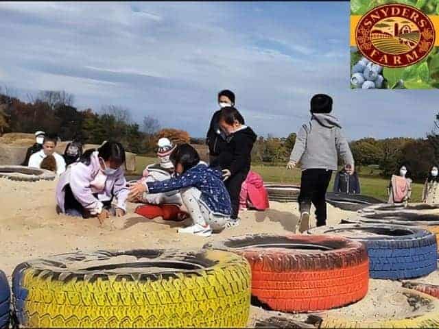 Kids Activity at Snyders Farm Somerset