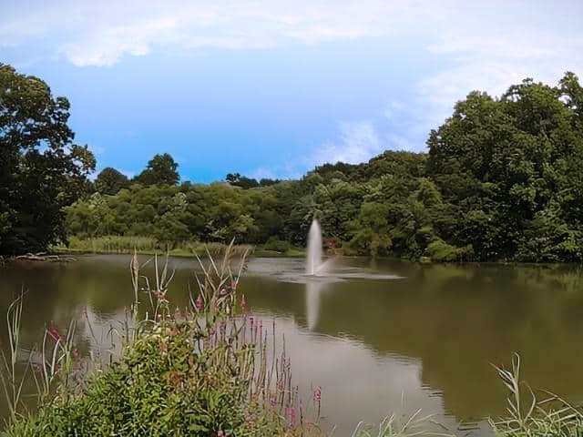 Lake at Borough of Runnemede Camden County
