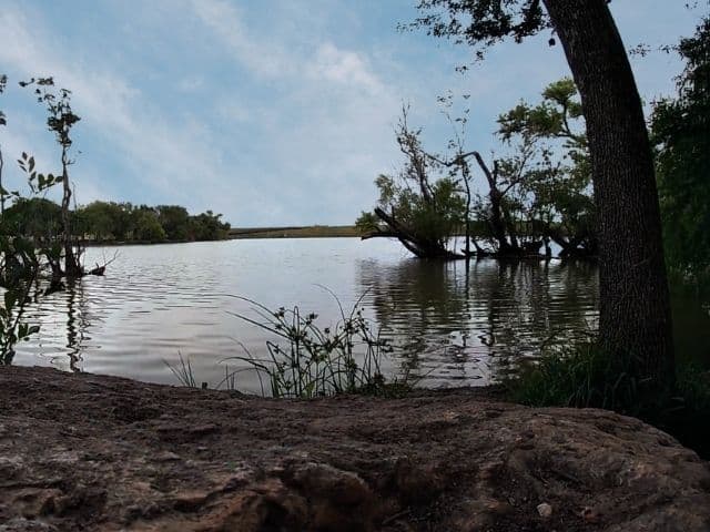 Live Oak City Park