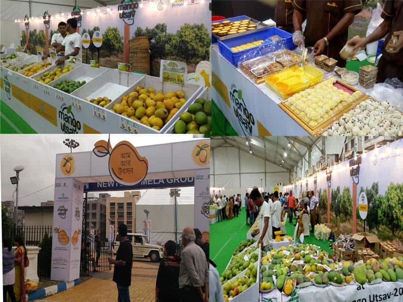 10 National International Mango Festival Day Celebration 2026