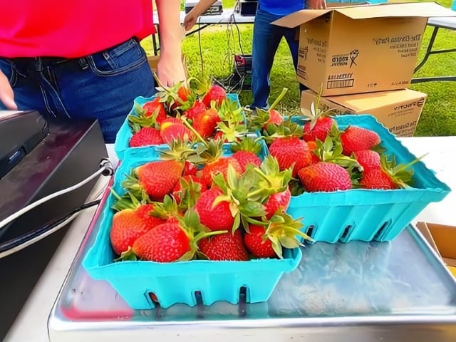 McCanns Farm Monroeville, NJ