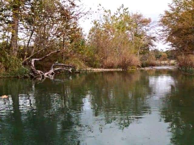 Medina River