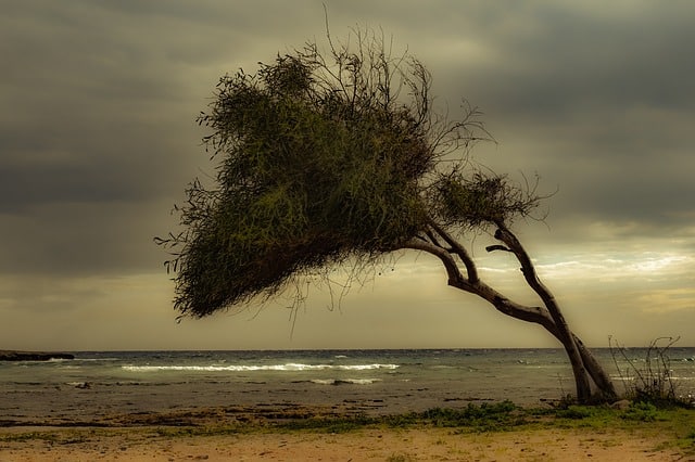 Monsoon at sea beach