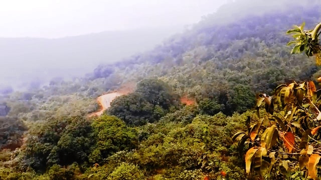 Pangali Valley View Point