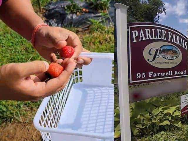 Parlee Farms Tyngsborough