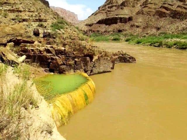 Pumpkin Spring Grand Canyon
