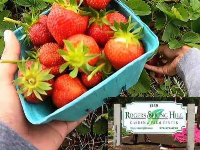 Rogers Spring Hill Farm Haverhill