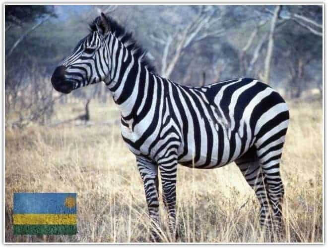 Rwanda