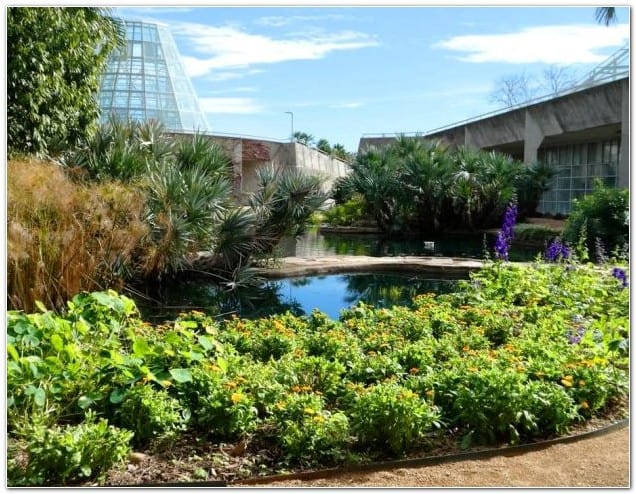 San Antonio Botanical Garden
