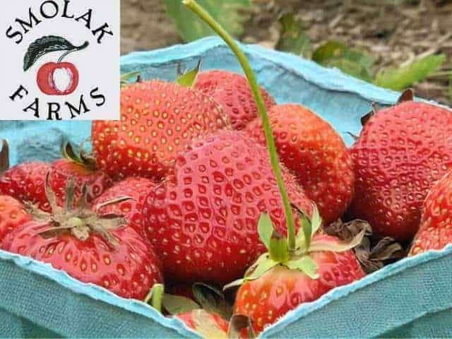 Smolak Farms North Andover