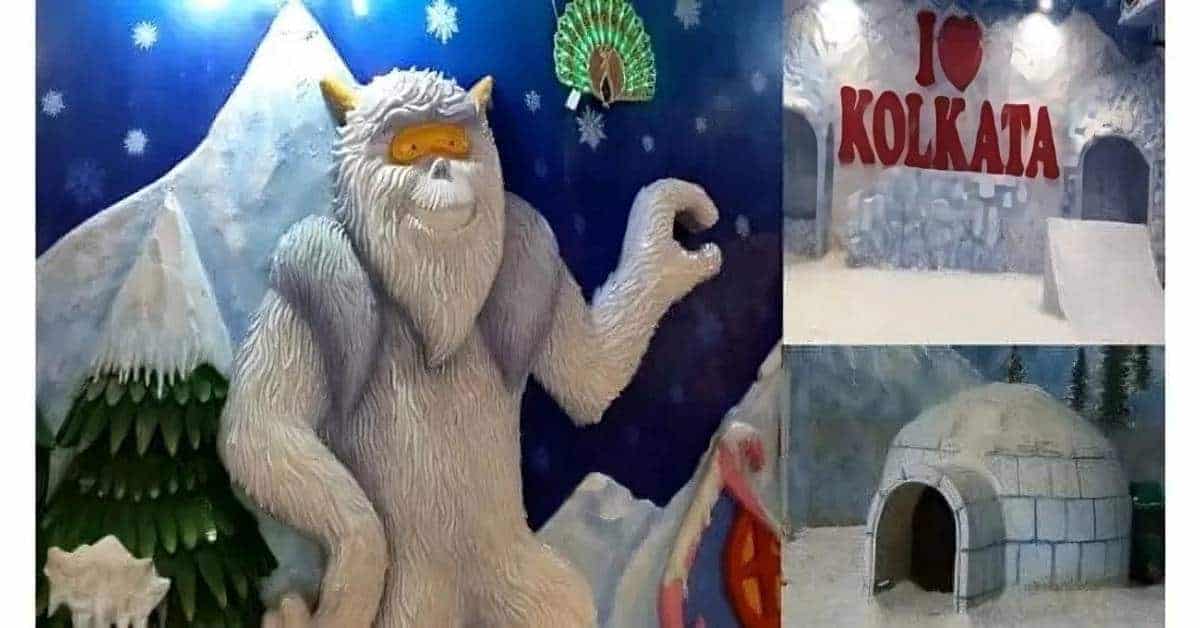 Top 5 Snow World Parks | Kolkata | Mumbai | Hyderabad | Bangalore