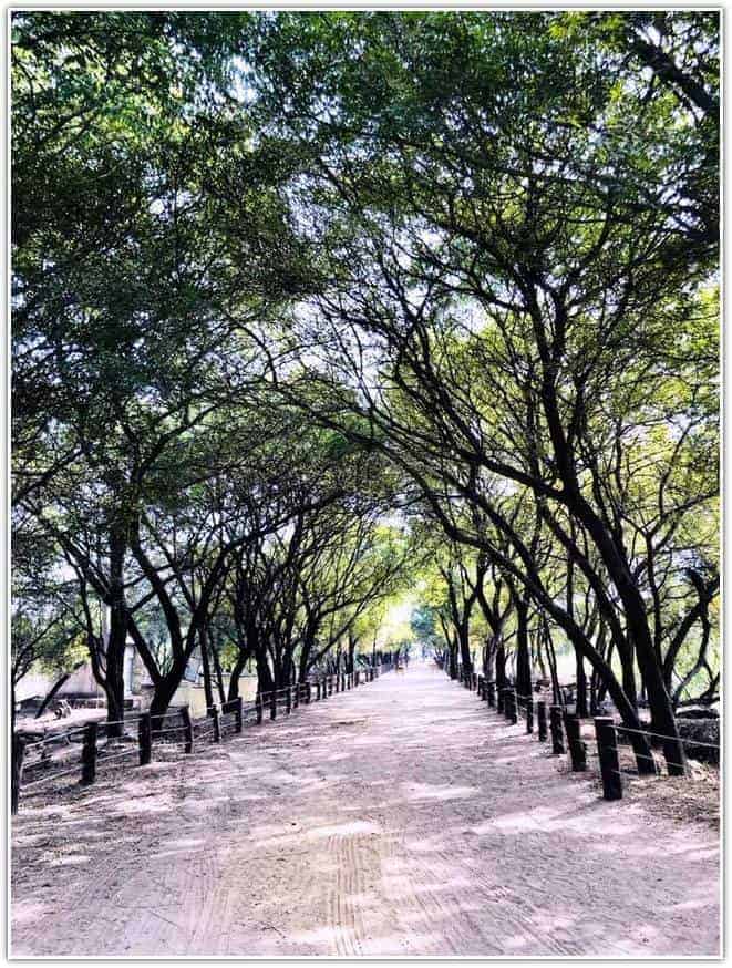 Sultanpur National Park