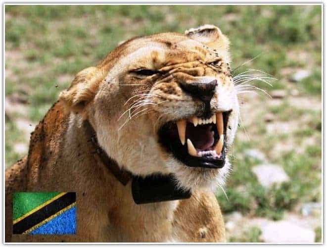 Tanzania