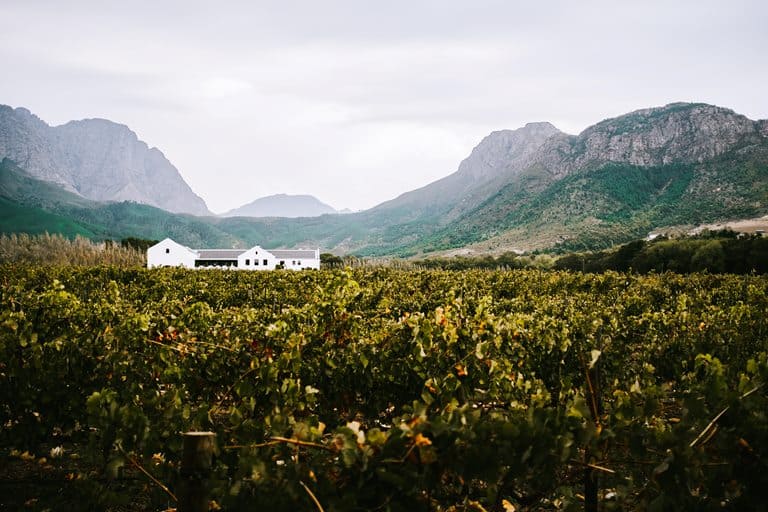Tasting wines in Holden Manz Country House Franschhoek,